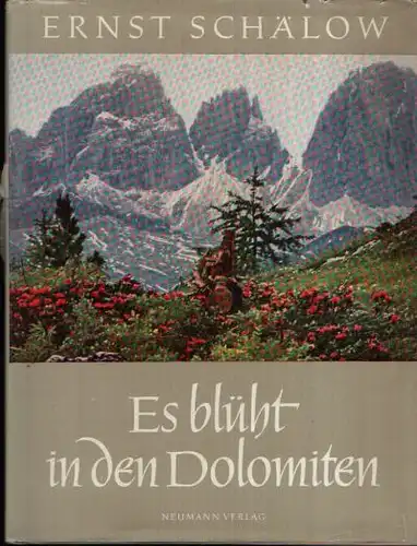 Schölow, Ernst