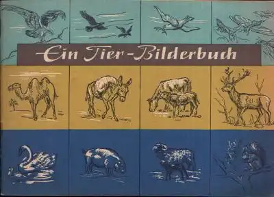 Heukelbach, Ilse