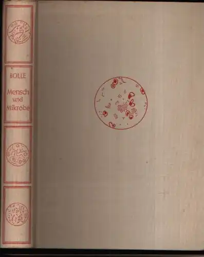 Bolle, Fritz