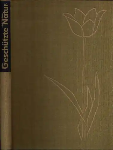 Wirth, Horst