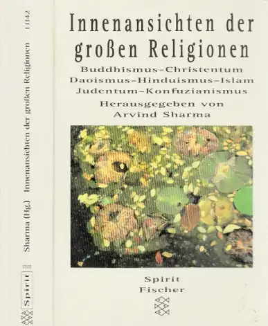 Innenansichten der großen Religionen - Buddhismus, Christentum, Daoismus, Hinduismus, Islam, Judentum, Konfuzianismus