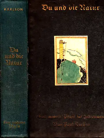 Du und die Natur - Eine moderne Physik für Jedermann Mit 165 Zeichnungen von Wilhelm Petersen und 9 Tafeln