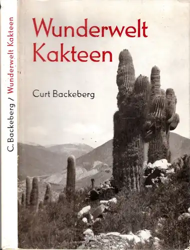 Brackeberg, Curt
