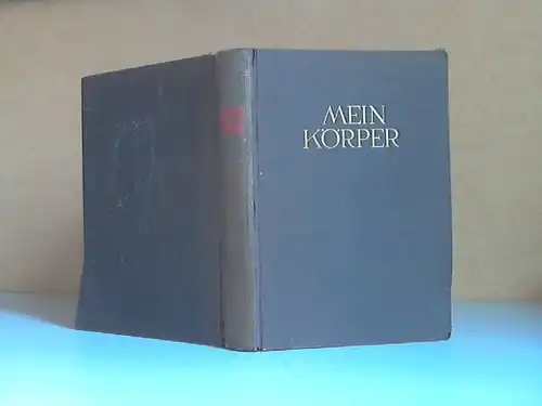 Sendenholm, Martin und Ludwig Levy-Lenz