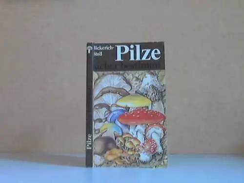 Bickerich-Stoll, Katharina