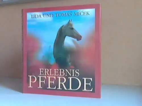 Lida und Tomas, Micek