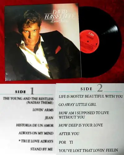LP David Hasselhoff: Lovin Feelings (CBS 4511141) NL 1987