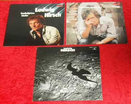 3 Langspielplatten LUDWIG HIRSCH  - Vinylsammlung -