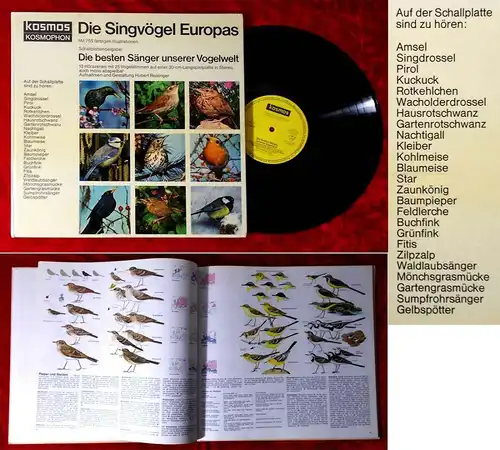 LP Die Singvögel Europas (Hardcover / Buch) 13 Hörszenen mit 25 Vogelstimmen