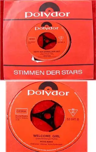 Single Peter Rubin Hätt ich einmal nur Zeit If I Only H