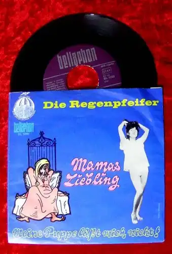 Single Regenpfeifer Mamas Liebling