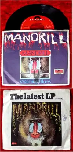 Single Mandrill: Mandrill (1971)