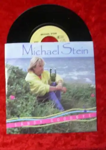 Single Michael Stein: Sandy Goodbye