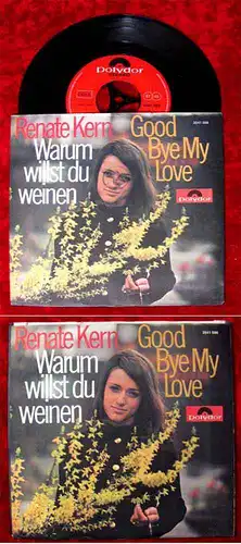 Single Renate Kern: Warum willst Du weinen (Polydor 2041 098) D
