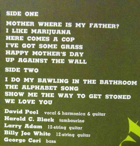 LP David Peel & Lower East Side: Have A Marihuana (Elektra 22 015) D