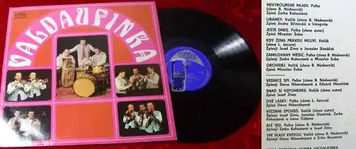 LP Karel Valdauf: Valdaufinka