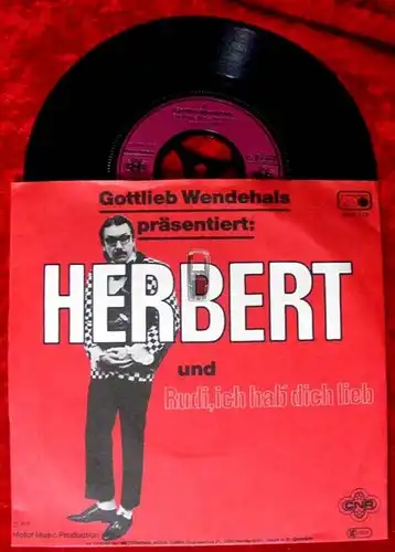 Single Gottlieb Wendehals: Herbert