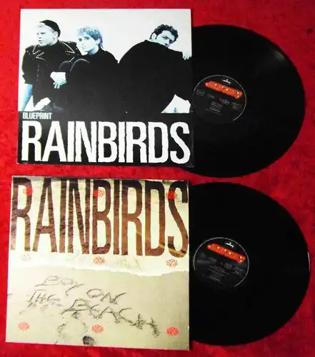 2 Maxi Singles  RAINBIRDS