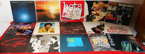 15 X Rock/Pop (incl 1 Maxi Single) von Santana bis Bots - Vinylsammlung -