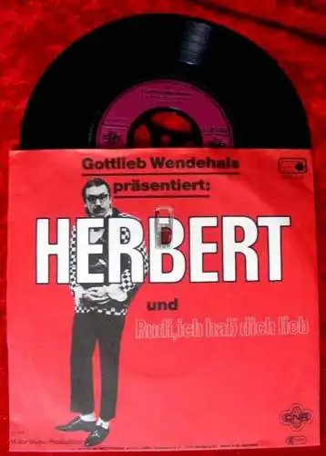 Single Gottlieb Wendehals: Herbert