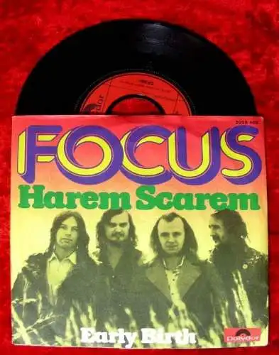 Single Focus Harem Scarem