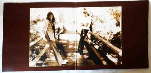 LP Carpenters: The Singles 1969 - 1973 (A&M 87 336 IT) D