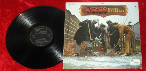 LP Four Tops: Nature Planned It (Tamla Motown 1C 062-93 402) D 1972