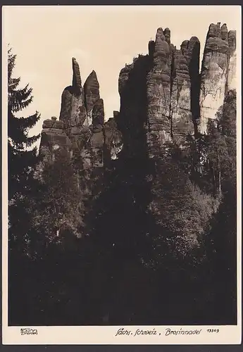 Brosinnadel Sächsische Schweiz Fotokarte Walter Hahn 13369 Dresden Handabzug
