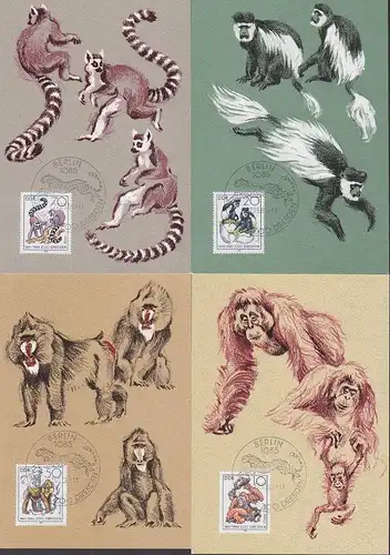 MC Orang-Utan Mandrill Katta, 125 Jahre Zoo Dresden Maximum-Karten