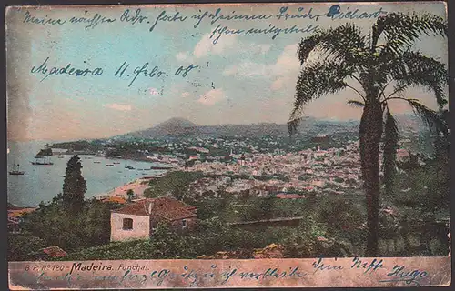 Madeira Funchal 11. 2. 1908 Hafen und Ort