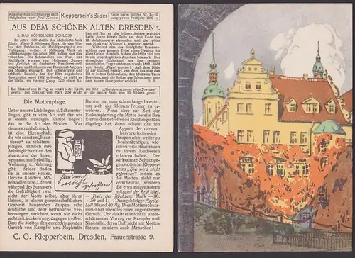 Reklame Klepperbein Die Mottenplage Dresden königliche Schloss Paul Kampke