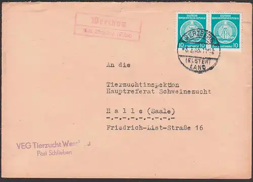 Werchau PSSt. Herzberg (Elster) Land VEG Tierzucht 5.7.55 Fernbrief an Tierzuchtinspektion Halle, Schweinezucht