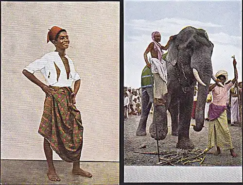 card India AK col. Indien 2 Ktn. * Elefant Straßenjunge Colombo Elephant