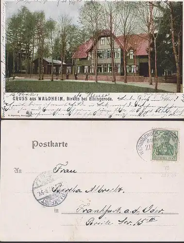 Waldheim, Birken bei Elbingerode Ak mit Bahnpostst. 20.7.1907