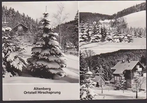 Ski Wintersport Sports d'hiver skieur Altenberg Sommerfrische Sachsen Osterzgebirge Ak Hirschsprung
