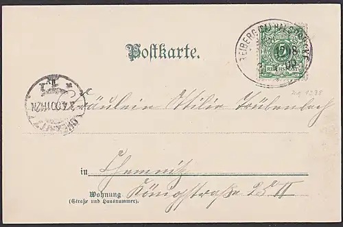 FREIBERG - HALSBRÜCKE ZUG 1298 Bahnpost 1898 Schmuckkarte mit Katzen und Vergissmeinnicht