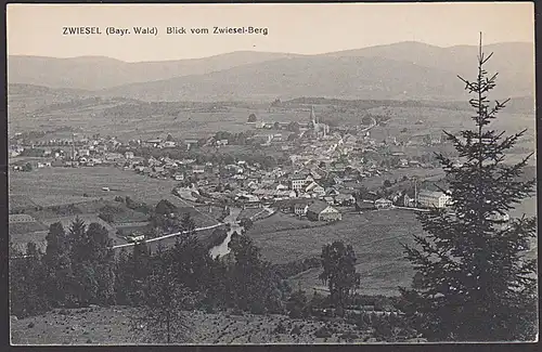 Zwiesel (bayr. Wald) Blick vom Zwiesel-Berg um 1910 ungelaufen