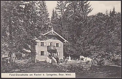 Spiegelau Forstdiensthütte am Rachel Bay. Wald um 1910 mit Pferdekutsche unbeschrieben rs. St. Racheldiensthütte