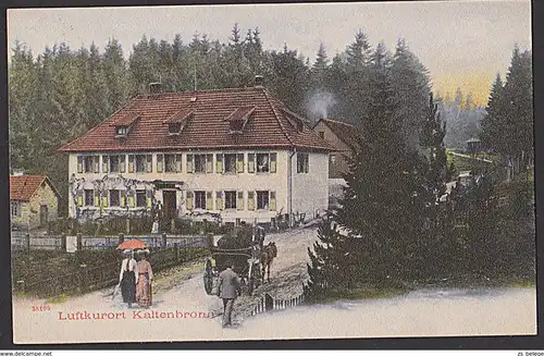 Kaltenbronn Reichental Gernsbach CAK um 1910 Luftkurort mit Pferdekutsche