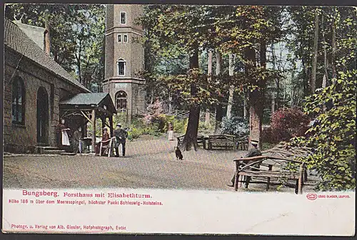 Bungsberg Forsthaus mit Elisabethturm Höchster Punkt in Schleswig-Holstein CAK um 1910 Verlag Eutin