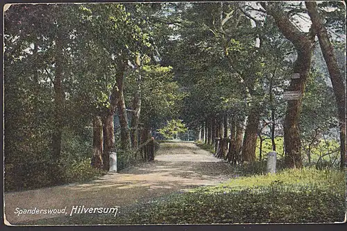 Hilversum Spanderswoud color gelaufen, Nederland Waldweg