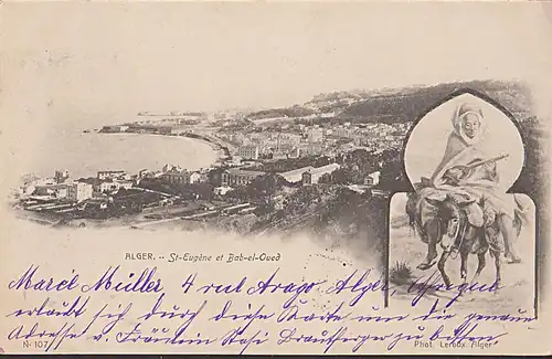 Algerien Algier Alger St. Eugené et Bal-el-Qued carte postale 1903 Esel