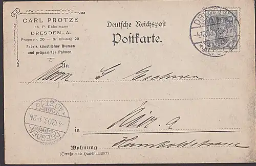 Werbung DRESDEN Carl Protze Fabrik künstlicher Blumen und präparierte Palmen mit 2 Pfg Germania Reichspost Nr. 53