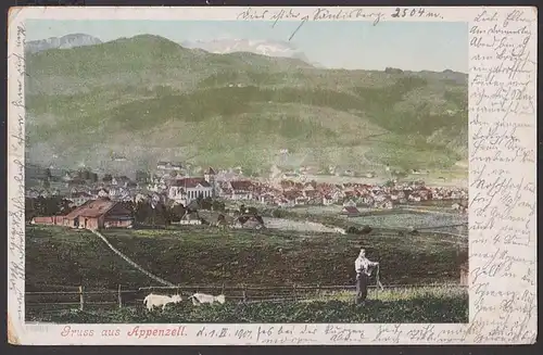 Appenzell Gruß aus, card 1901 nach Germany Loschwitz, CAK Nr. 14864 mit Ziegen