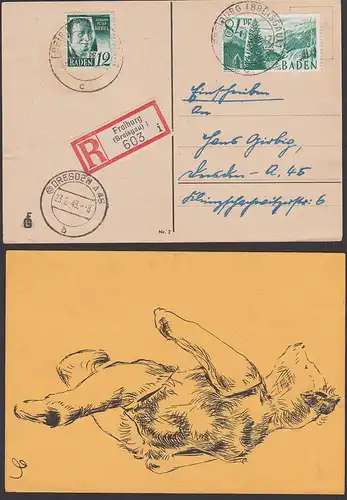 Freiburg im Breisgau Baden R-Karte Künstelerkarte mit Bär bear nach Dresden 1948
