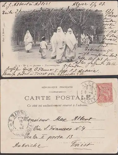 Alger Algier  Mauresques Ak 1903 nach Triest