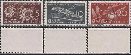 Naturschutzwoche 1957, Flora Silberdistel, Smaragdeidechse, Frauenschuh Germany  DDR 561/63