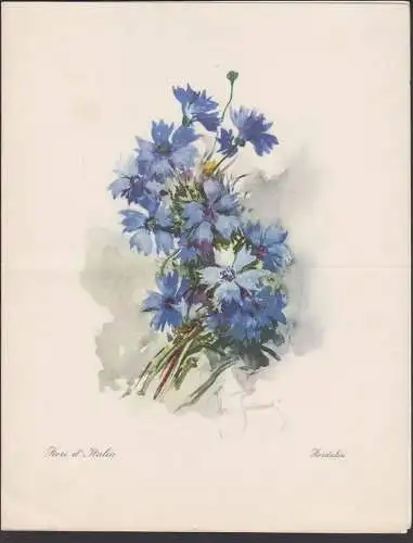 SATURNIA Italia Programma ship Activities of the day  3. April 1956