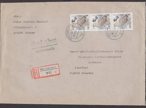 Seeadler Haliaeetus albicilla 140 Pf Bundesrepublik Germany R-Brief Großenhain im VGO 29.8.91