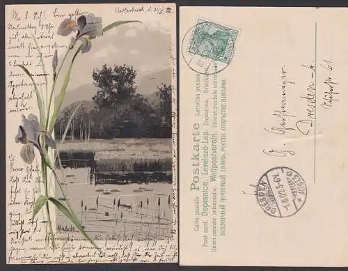 Künstlerkarte Malik Lilie mit Landschaft, Karte vom 31.5.1902 aus Klosterbuch